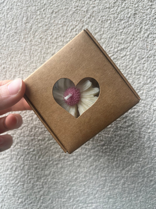 Coffret baby marguerite