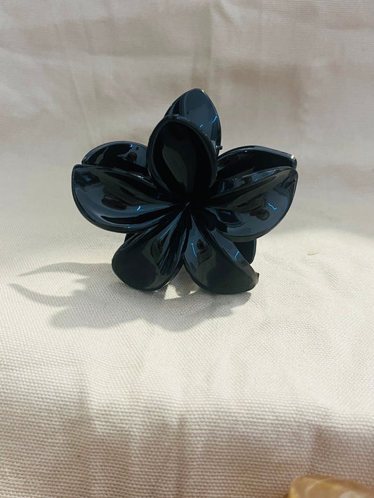 Pince cheveux - Noir