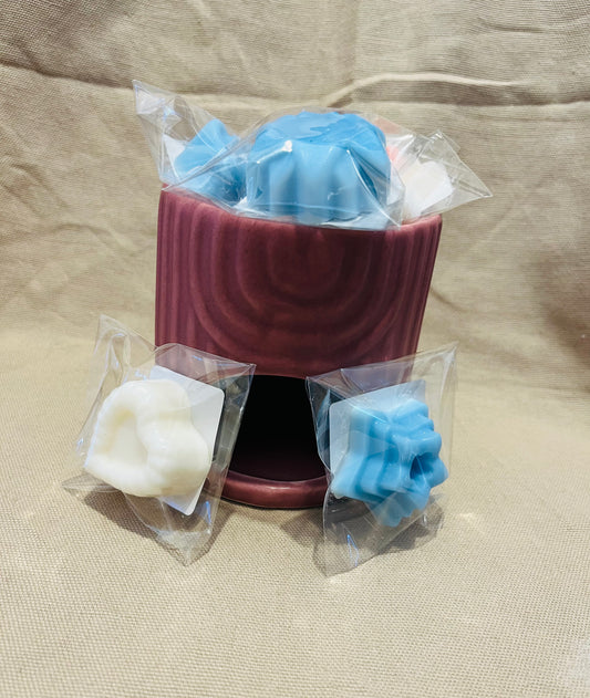 Brûleur et 5 fondants