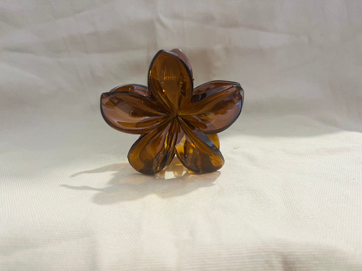 Pince cheveux - Marron