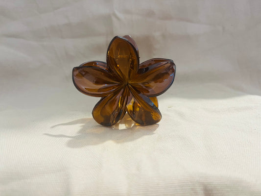 Pince cheveux - Marron